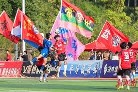 探索FIFA世界杯2026美加墨草地的科学之旅